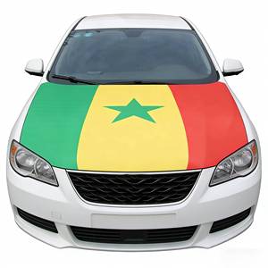 Banderas Personalizadas de Poliéster Ecológicas Impresas Digitalmente, Bandera de Senegal para Capó de Motor y Banderas Nacionales de Varios Países - Product Image 1