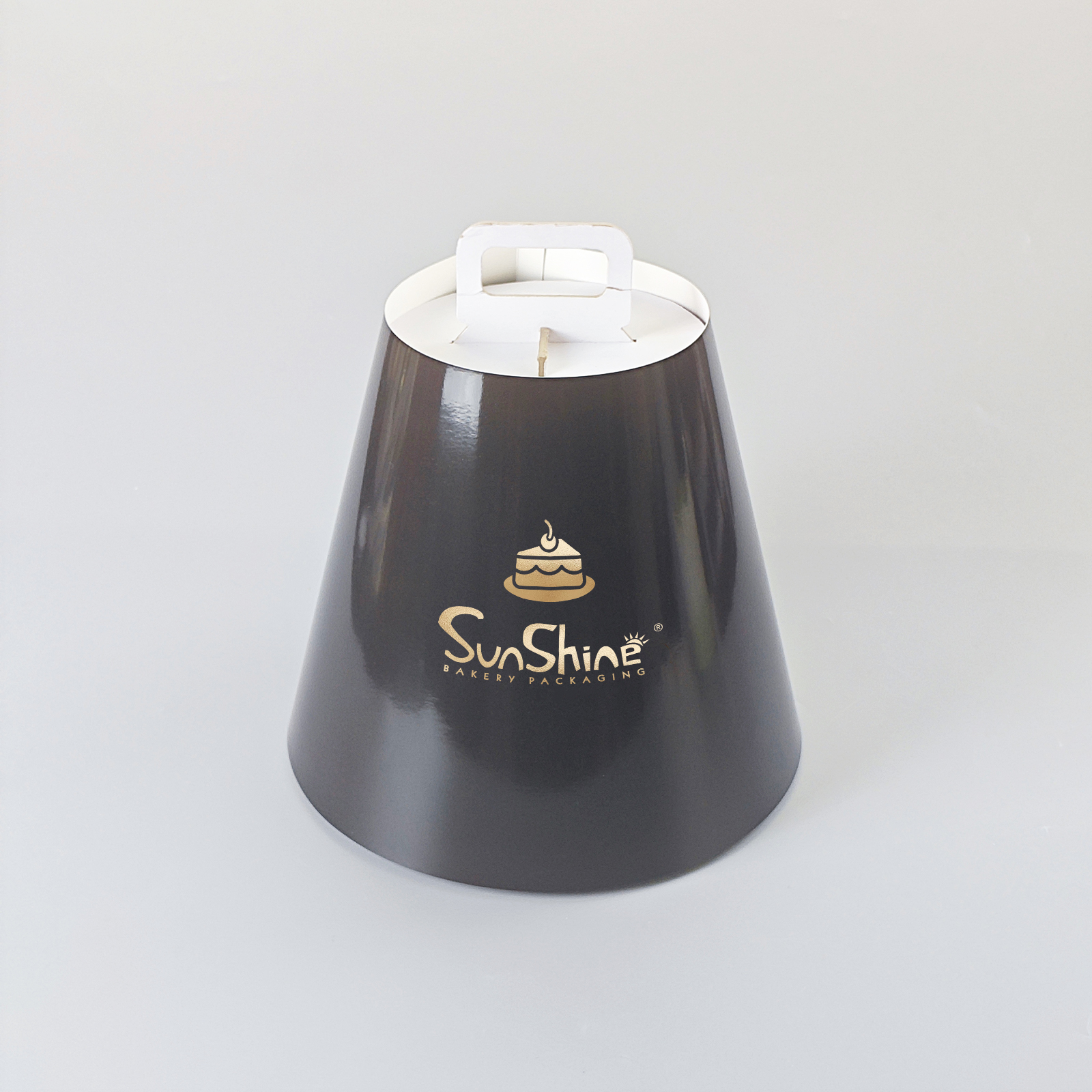 Surface brillante Noir