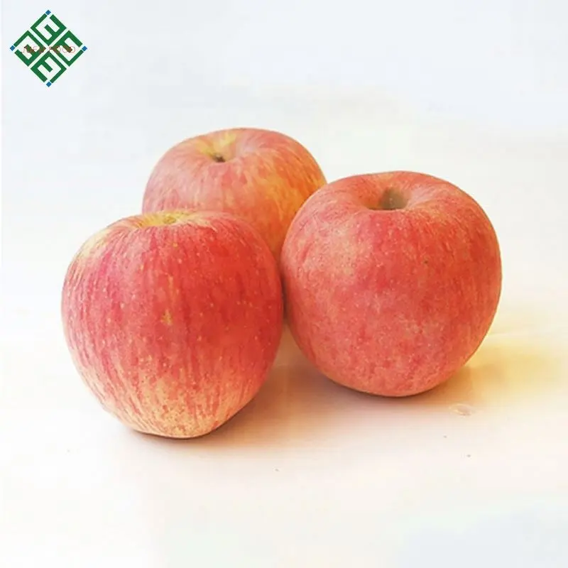 فاكهة التفاح الصينية ماركات مختلفة من تفاح فو جي