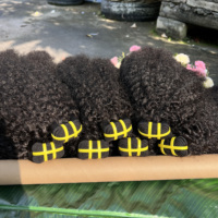 Cheveux Humains Vietnamiens Bruts de Qualité 12A, Tissage Naturel Vierge, Vente en Gros, Lots de Cheveux Bouclés Afro Kinky 4C