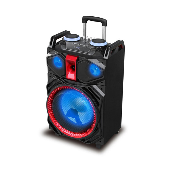 Portable Party Speaker 1000 Watt DJ Party Floor Speaker for Karaoke