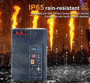 Machine à Jet de Flamme Extérieure Étanche 100W pour Scène, Équipement d'<span class=keywords><strong>Effets</strong></span> de Feu pour Concerts, Festivals, Spectacles et <span class=keywords><strong>Effets</strong></span> <span class=keywords><strong>Spéciaux</strong></span> <span class=keywords><strong>FX</strong></span> - Product Image 6