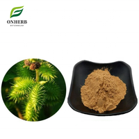 Extrait de fruit de Xanthium Strumarium en poudre 99% (Fructus Xanthii) – Vente en gros directe usine