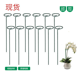 Cross-border vegetable garden vegetable <b>trellis</b> <b>flower</b> pole single ring wrought iron plant support pole orchard seedling fixing - Product Image 1