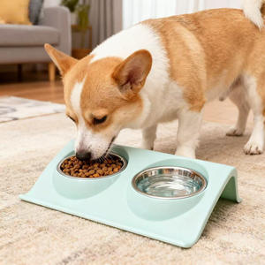 Bol <span class=keywords><strong>pour</strong></span> animaux de compagnie antidérapant de conception solide et écologique personnalisée en acier inoxydable de qualité alimentaire avec inclinaison de 15 ° <span class=keywords><strong>pour</strong></span> chiens et chats - Product Image 2