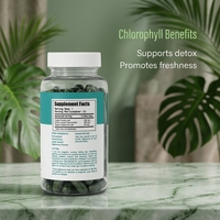 Cápsulas de Clorofila de Perejil Orgánico de Marca Privada Body Magic, Suplemento en Cápsulas y Tabletas para la Desintoxicación, Digestión y Salud Intestinal