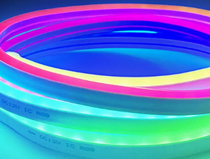 LED Neon Flexible RGB Silicone DC12V IP65 Carnival Decoration for Hotel & Garden Use RoHS Approved - Product Image 4