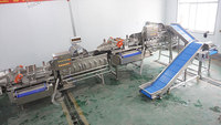 1-3 TPH Klaar-voor-gebruik groenteverwerkingslijn snijmachine dubbele vortexwasser ontwateringsmachine automatische fabriek op maat gemaakt