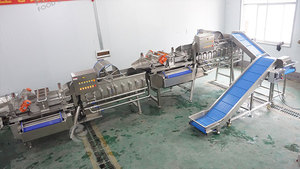 Ligne de traitement des légumes prête à l'emploi 1-3 TPH, avec coupeuse, laveuse double vortex et déshydrateur, personnalisable pour usine automatique - Product Image 3