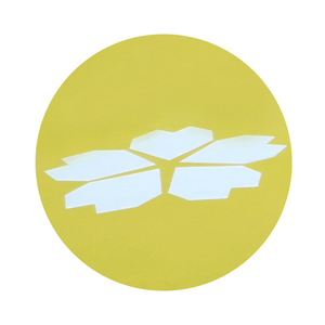 Meidibao <b>Art</b> Painted Pavement <b>Paint</b> Square Sidewalk Undertaking Project SP Color Non-Slip Pavement Color Pavement - Product Image 1