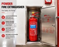 Extincteur à poudre sèche portable 1-12 kg ABC DCP en acier inoxydable certifié KIWA TUV Rheinland pour la maison et l'industrie