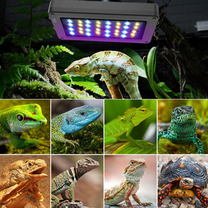 Lámpara LED UVA UVB <span class=keywords><strong>para</strong></span> Reptiles Channi con Regulación de Intensidad y 4 Modos de Iluminación, Lámpara LED con Temporizador <span class=keywords><strong>para</strong></span> Tortugas y Lagartos - Product Image 4
