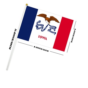 Bandera de Mano Personalizada de Iowa, el Estado del Hawkeye, 14x21cm, Pequeña Bandera para Agitar en Partidos de Fútbol y Fútbol Americano - Product Image 3