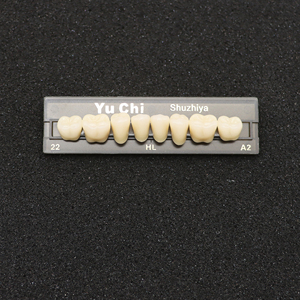 Nouveau produit, directement de l'usine, ZUNCHI, prothèses dentaires de haute qualité, dents en résine synthétique pour applications dentaires - Product Image 6