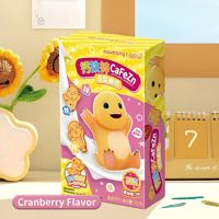 Biscuits décoratifs durs à motifs d'animaux mignons, multi-saveurs, personnalisés, en vrac, pour la vente en gros OEM
