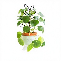 Treillis en métal en forme de feuille pour plantes, support décoratif en fer pour plantes en pot, étagère pour plantes grimpantes pour jardin intérieur, vente en gros