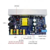 Carte amplificateur haute puissance classe D Mono Amp Peak 1000W avec alimentation à découpage