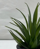 Plantes succulentes artificielles en PE, écologiques, résistantes aux UV, décor de mini-jardin persistant pour usage intérieur et bureautique