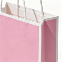 Sacs en papier kraft couleur unie, surfaces mates vierges et poignées torsadées robustes pour le commerce de détail, personnalisation de marque