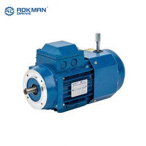 0.12 kW ~ 22 kW <span class=keywords><strong>yej</strong></span> loạt ba giai đoạn cảm ứng AC không thấm nước phanh điện động cơ - Product Image 5