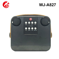 Sistem Karaoke Portabel Profesional Nirkabel Bluetooth 5.3 dengan Dua Mikrofon HIFI untuk Kumpul Keluarga