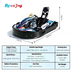 ApexJoy RACE GT PRO A2 - Go-Kart <span class=keywords><strong>de</strong></span> Gasolina <span class=keywords><strong>de</strong></span> 200cc y 6.5HP, 68km/h, para Uso Comercial, Aventura, Viajes, Alquiler, Precio Mayorista B2B - Product Image 2