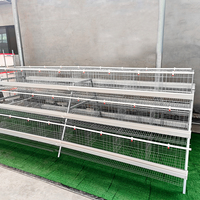 Système automatique de cages en batterie pour 160 poules pondeuses sur 4 niveaux au Botswana