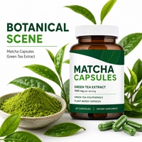 Capsules de thé vert matcha de haute qualité, marque privée, soutien immunitaire, détoxifiant, antioxydant, apport d'énergie, pour adultes et femmes enceintes