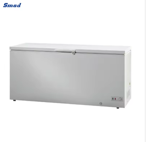 Excellent rapport qualité-prix, grande capacité 512L, 115V/60HZ, congélateur coffre commercial à porte simple DSC-512X - Product Image 1
