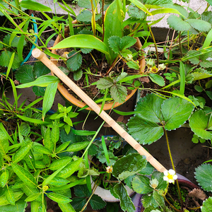 32.3cm outil d'ameublissement de sol en bambou conception d'insertion de fourche pour les plantes en pot parterres de fleurs outil de culture de jardinage - Product Image 4