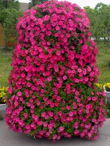 Sistema de Jardín Vertical Aeropónico Dubai Miracle Garden, Torre de Jardín Modular con Jardinera de Plástico SL-YR160 - Product Image 3