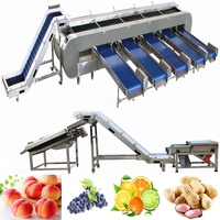 Peer Citroen Vruchten Verwerking Lijn Voor Druif Wasmachine Met Litchi Oranje Sorteren Apparatuur Avocado Drogen Machines