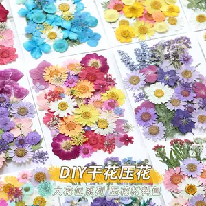 批发Diy混合压花草工艺品艺术天然压花树脂化妆