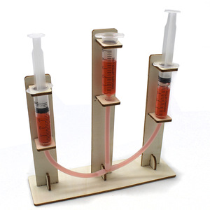 Kit scientifique DIY à la vapeur : Expérience de pression hydrostatique avec seringue – Jouet éducatif pour l'apprentissage des enfants - Product Image 1