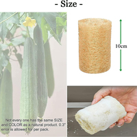 Éponge de douche en luffa naturelle Éponge de luffa biologique multifonctionnelle pour le nettoyage de la vaisselle ou le bain exfoliant