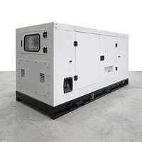 Certifié CE 80Kw 100Kva générateur diesel insonorisé triphasé générateurs de type silencieux avec démarrage automatique tension 400V/110V