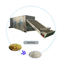 Séchoir séchoir à air chaud de grande taille pour la déshydratation Snacks alimentaires pour petit déjeuner Céréales Pet Food Pellet Riz