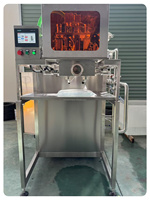Volautomatische Bib Aseptische Vulmachine Speciaal Ontworpen Voor Vruchtensap, Melk, Jam, Koffie, Rode Wijn En Gezuiverd Water.
