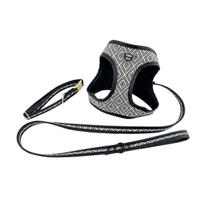 Vendita calda di lusso pesante No Pull Pet <span class=keywords><strong>Dog</strong></span> imbracatura e guinzaglio Set con fibbia in metallo - Product Image 2