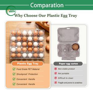 Contenitore per Uova Portatile in PET Resistente all'Umidità, Trasparente, da 30 Posti, con Manico, per Uso in Allevamenti Avicoli - Product Image 6