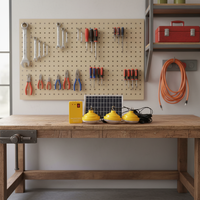 Système d'alimentation solaire AC/DC, mini système solaire, kit d'éclairage domestique, 3,7 V, 6 W, 10 W, 20 W pour l'alimentation extérieure