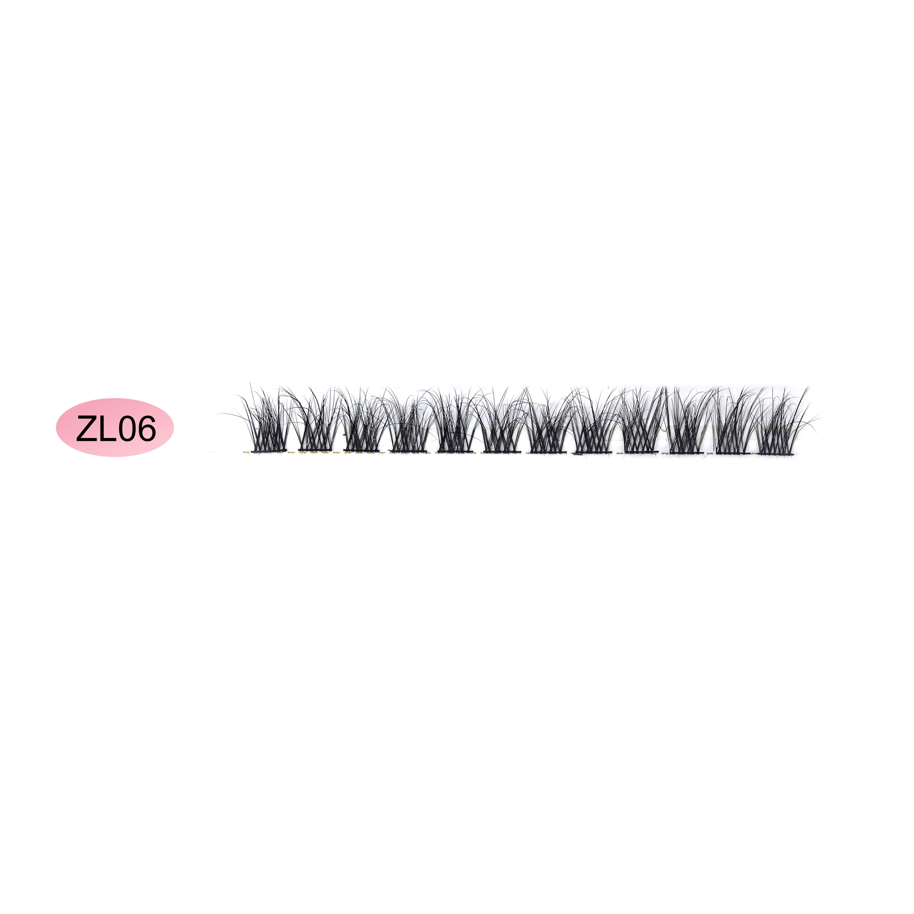 ZL06