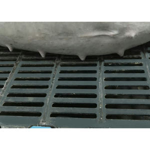 2025 nouveau plancher de truie équipement d'élevage de porcs de haute qualité plancher en fonte - Product Image 6