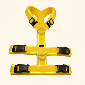 Coleira Tática Personalizada para Cães, Design em Y, Durável, Com Almofadas Macias para Treinamento - Product Image 3