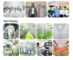 Supplément d'usine en gros Extrait de <span class=keywords><strong>Crocus</strong></span> Sativus Poudre d'extrait de safran 0.3% 100% Poudre d'extrait de safran biologique safranal - Product Image 4