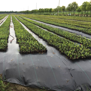 Contrôle des mauvaises herbes <span class=keywords><strong>noir</strong></span> tissé géotextile jardin tissu agriculture couvre-sol <span class=keywords><strong>noir</strong></span> tissé géotextile - Product Image 2