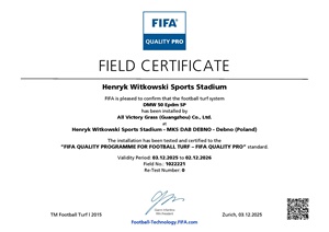 <span class=keywords><strong>Gazon</strong></span> artificiel de football de haute qualité personnalisé, densité élevée, <span class=keywords><strong>vert</strong></span> <span class=keywords><strong>clair</strong></span>, 40 mm, 50 mm - Product Image 6