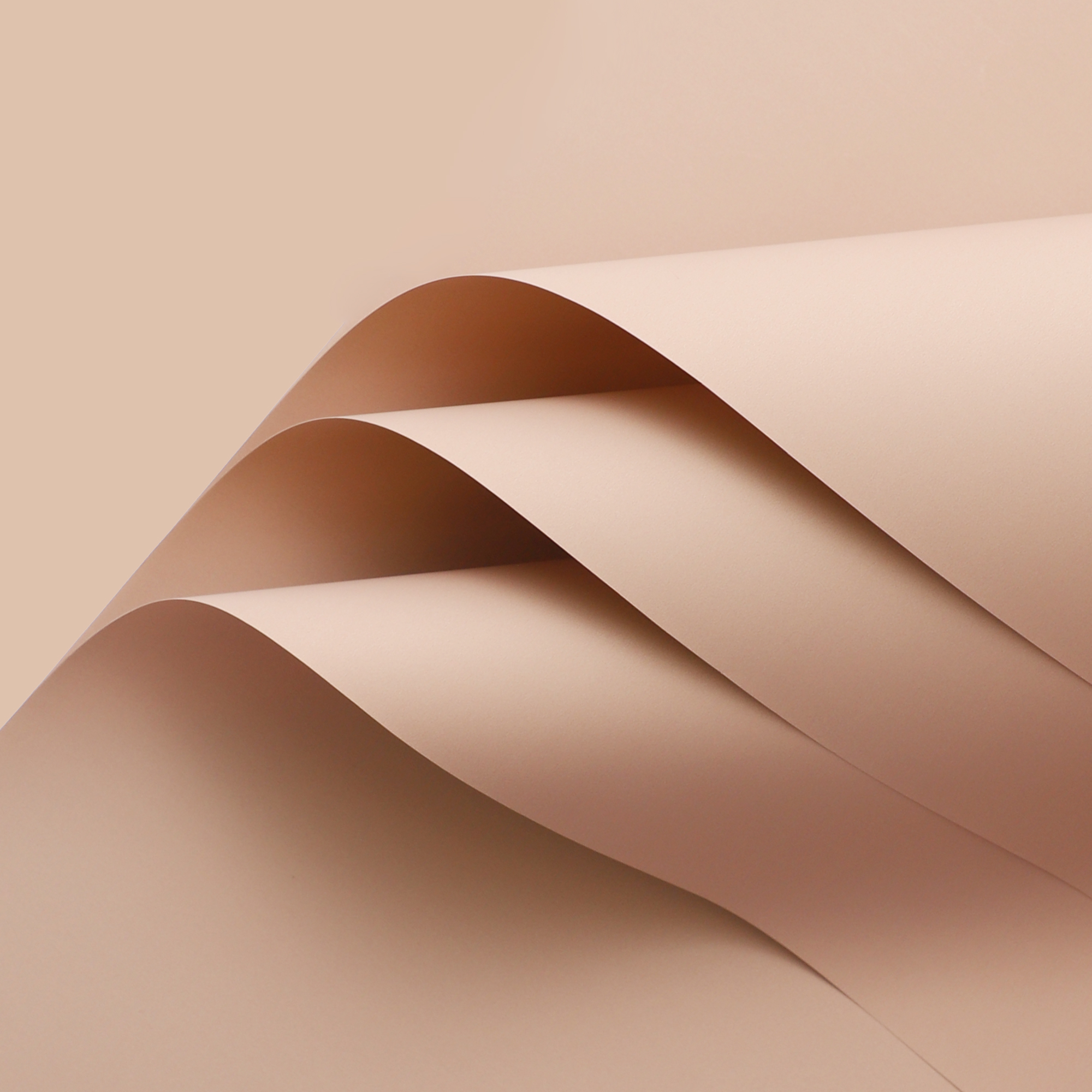 Trendy paper [lotus color] 20 45*50cm
