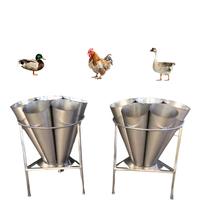 Cône de saignée pour abattage de volailles de marque MD, équipement d'abattoir, garantie 1 an, dimensions personnalisables, certifié et testé