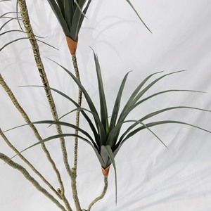 Plante artificielle décorative en pot, haute simulation, à tige fine, type Arbre du sang du dragon, centenaire - Product Image 5